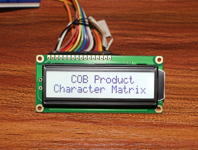 Standard Product Chip on Board Monochrome 16X2 Characters Liquid Crystal Display